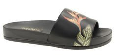 Flip flops Azaleia 290/196